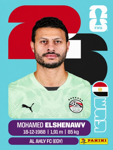 Mohamed Eshenawv