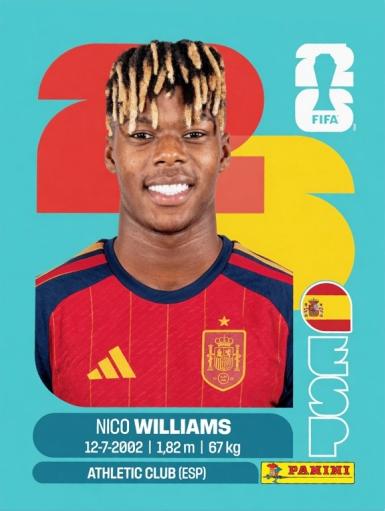 Nico Williams