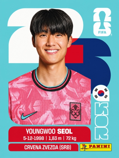 Youngwoo Seol