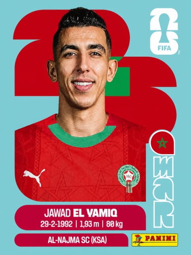 Jawad El Vamiq