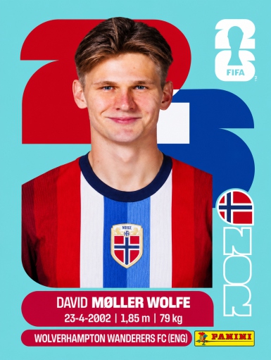 David Moller Wolfe