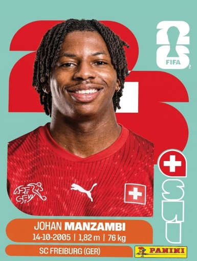 Johan Manzambi